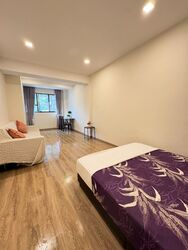 Balestier Road (D12), Condominium #582433831